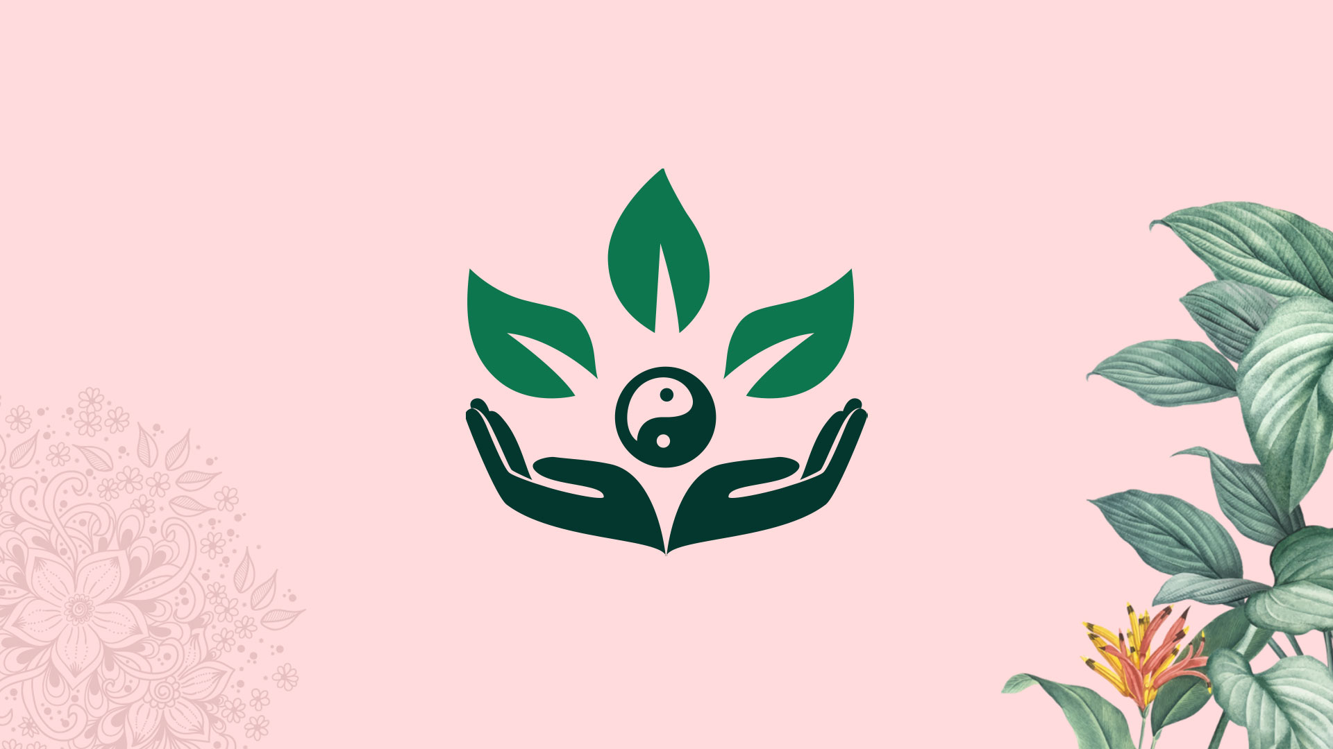 Equilibrios Salud Integral